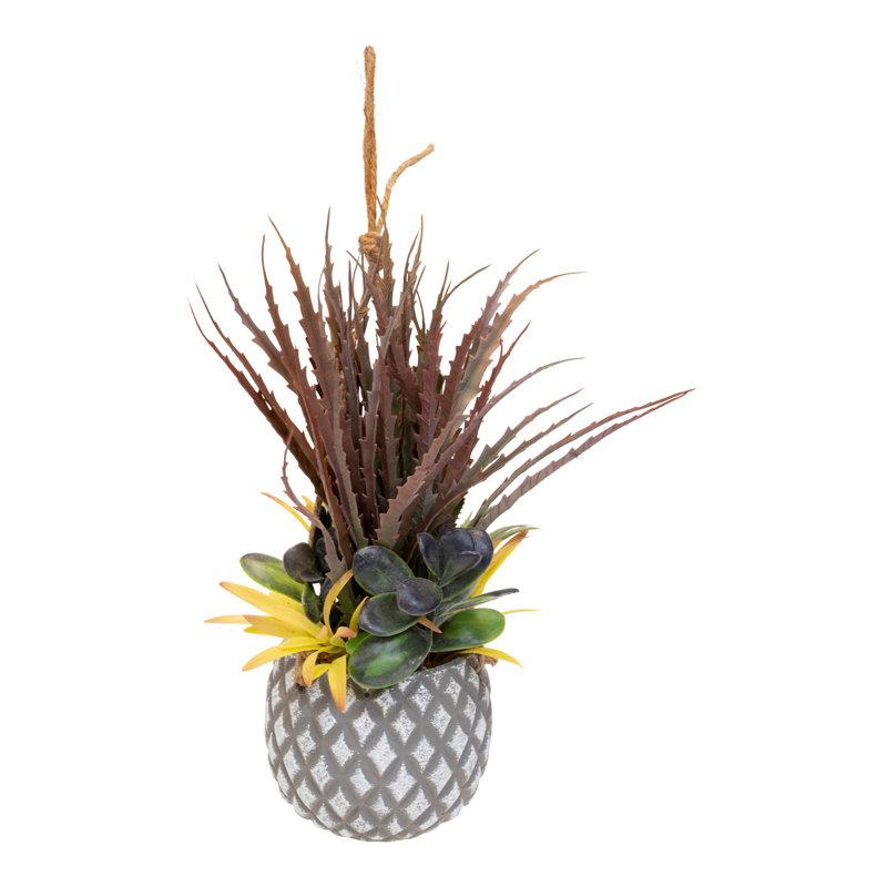Faux Succulent Plant in Pot, 37cm H x 23cm W x 28cm D