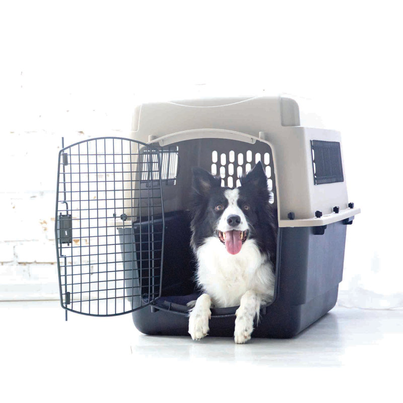 Sac de transport d'animal Ultra Vari, H 24 po x l 22,5 po x P 32 po