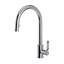 Armstrong™ Pull-Down Single Handle Kitchen Faucet-49377582