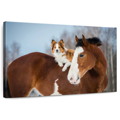 Bramley collie à cheval
