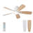 Leighton 42 Inch Ceiling Fan With Light With Remote Control-107128941