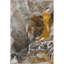 Premium Machine Washable Cerrito AMF503 Brown Area Rug-103838154