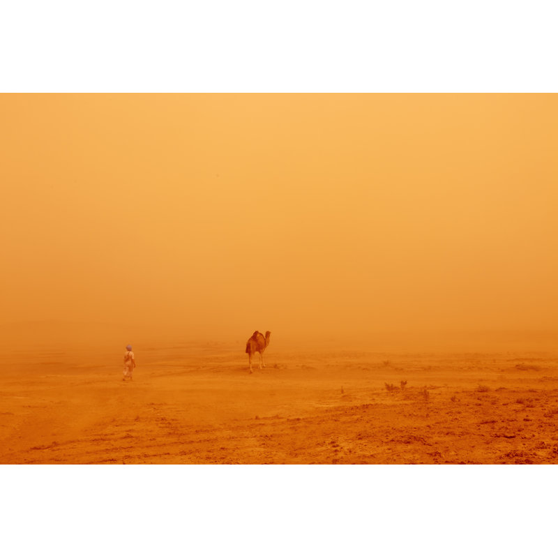 Nomadic People Morocco by Uchar - Wrapped Canvas Print, 81cm H x 122cm W x 3.8cm D