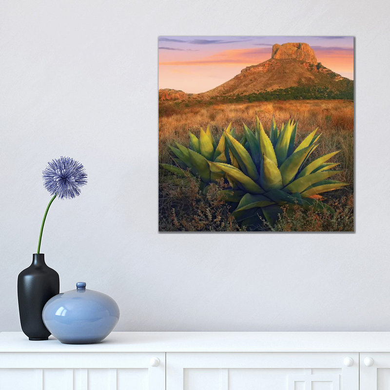 Casa Grande Butte with Agave in Foreground, Big Bend National Park, Texas 1 Piece Wrapped Canvas Wall Art