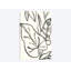 Impression « tropical contour IV » par June Erica vess-32588716-43810310