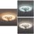 Divleen 18.89'' Ceiling Fan with LED Lights