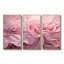 «Pink Tender Twirl Spiral», ensemble d'art mural sur toile-111764667-111764671