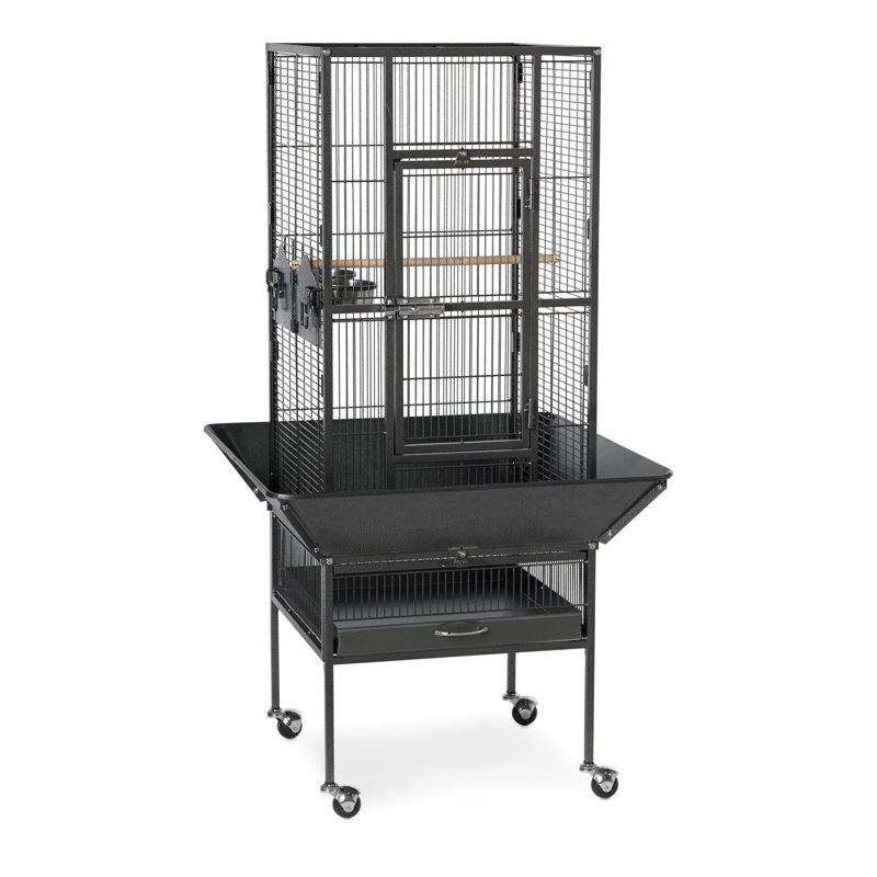 Cage à oiseaux en acier à toit plat avec roulettes Hester, Fini noir martelé, H 49 po x l 18 po x P 18 po 
