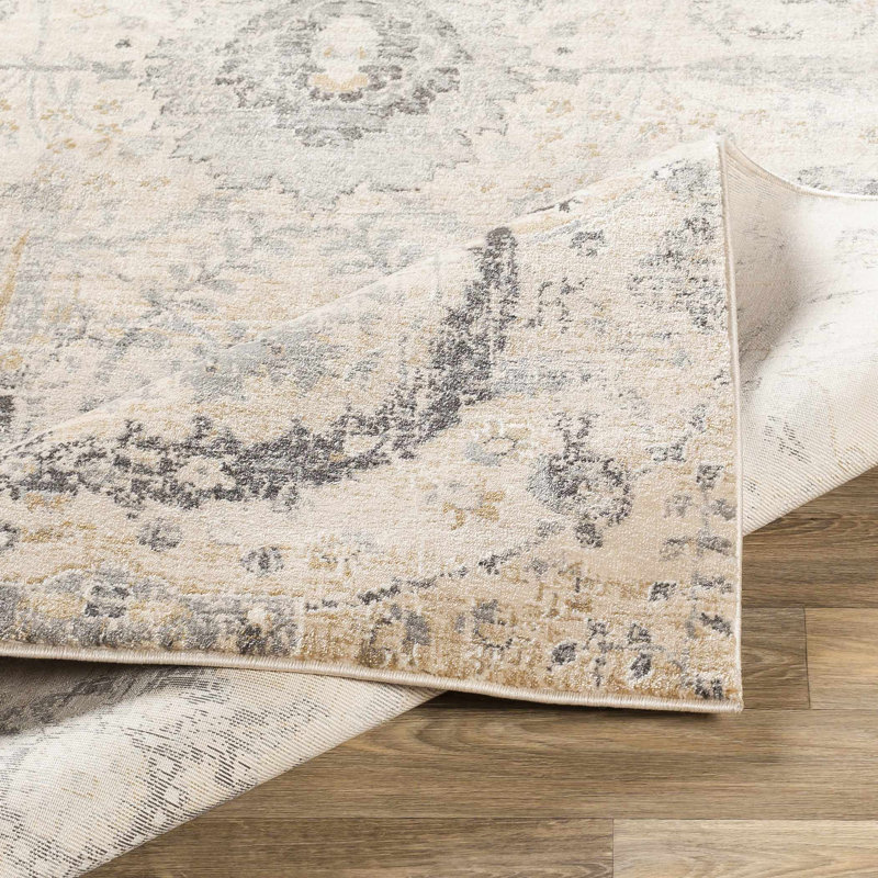 Abniel Oriental Indoor Rug, Rectangle 8'10" x 12'