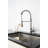 LITTLE TREE Pull Out Kitchen Faucet