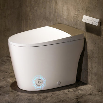 Toilette Golden Smart avec bidet, bouclier en mousse, température 4 saisons, chasse d'eau automatique de 1,0 GPF, siège chauffant, laveuse / sécheuse chaude, fauteuil confortable de 17,5 po de hauteur, fermeture lente et télécommande