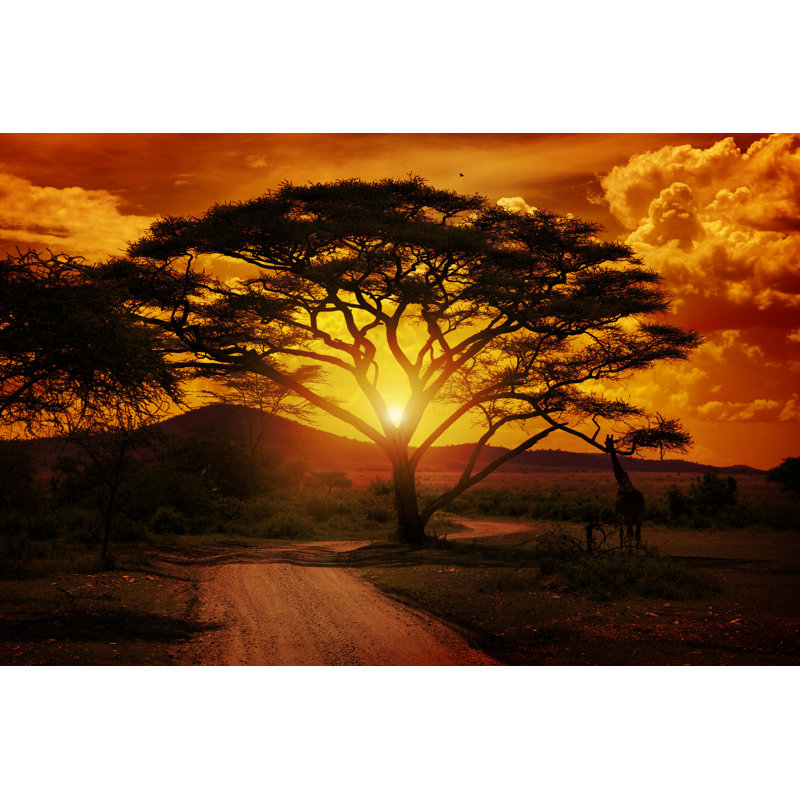 Africa Sunset - Wrapped Canvas Print, 20cm H x 30cm W x 3.8cm D