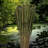 Flournoy Arrangement-474869458