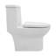 Toilette allongée une pièce à double chasse 1,1 / 1,6 GPF avec siège confortable et surface vitrée en céramique (siège à fermeture en douceur inclus)