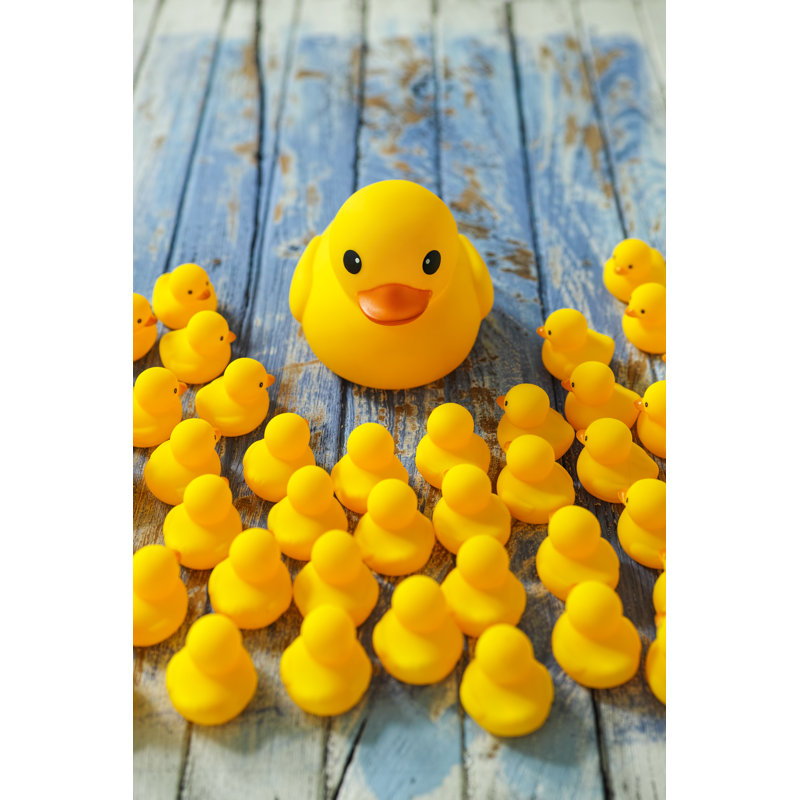 Rubber Ducks Gathering Around A Large Mother Duck. by Enviromantic - No Frame Print on Canvas, 91cm H x 61cm W