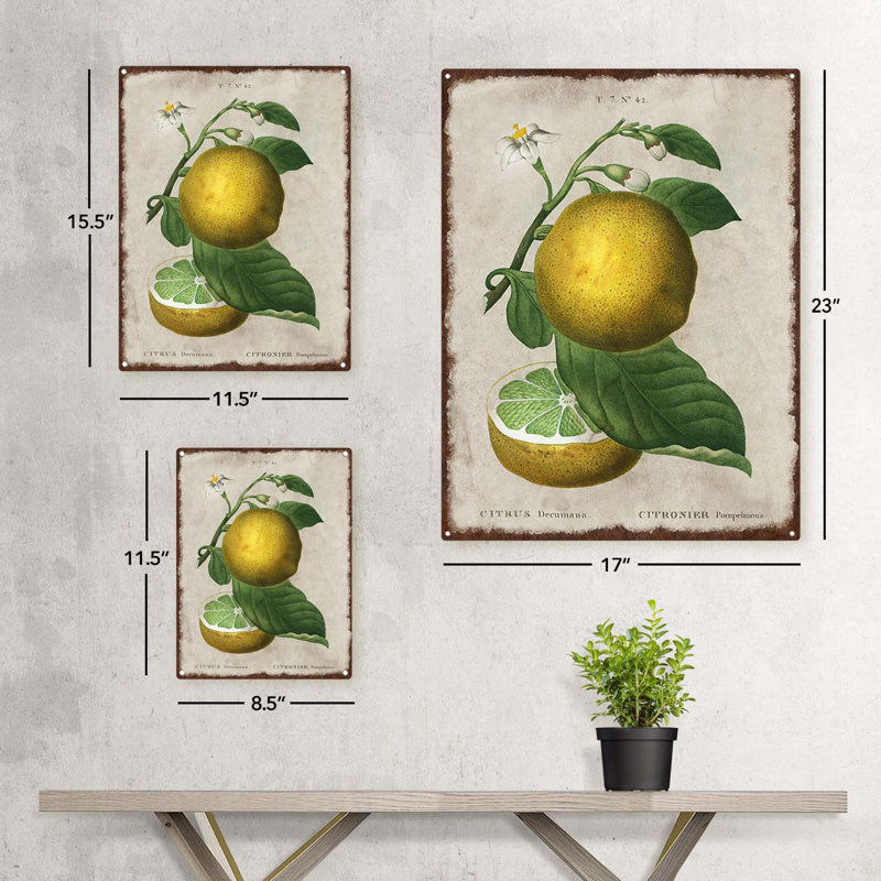 Illustration rétro de citron, H 11,5 po x l 8,5 po x P 0,04 po