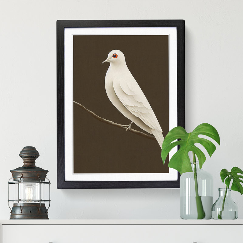 Ardi Dove Bird Resting - Wall Art, 64cm H x 46cm W x 2cm D, Oak
