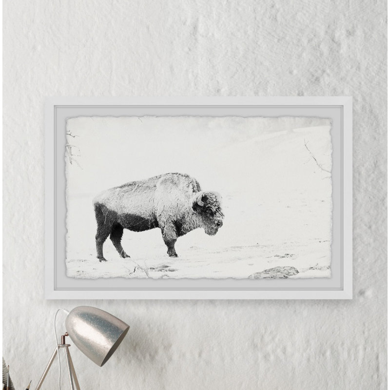 « Pâturage bison »-reproduction de photo sur papier encadrée, H 30 po x l 45 po x P 1,5 po