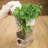 Jar - Set of 2