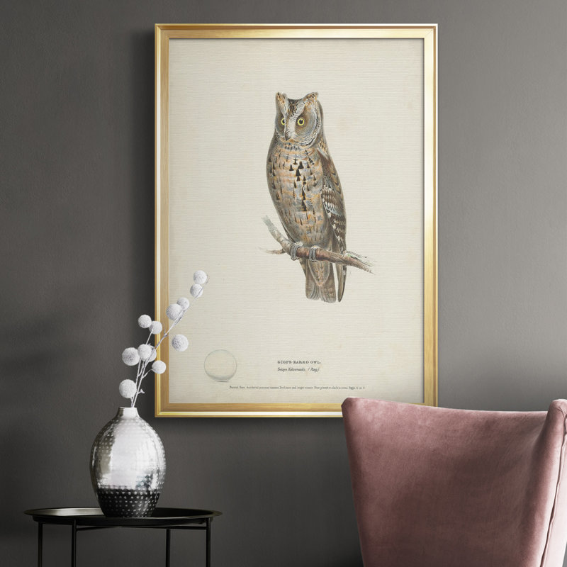 Scops - Toile encadrée de qualité supérieure - prêt à accrocher, H 24,5 po x l 18,5 po x P 1 po, Or