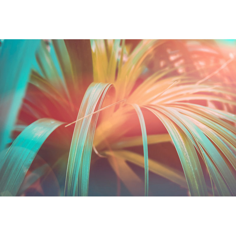 «Tropical Plant» par Olindana - Photographie sur toile tendue, L 12 po x H 8 po