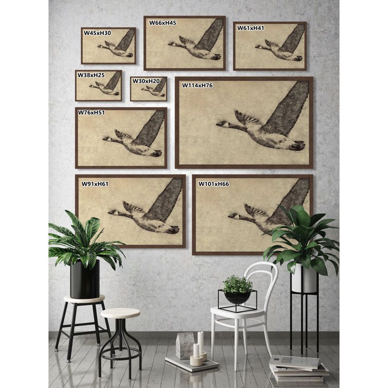Solo Flight - Single Picture Frame Print, 41cm H x 61cm W x 3.81cm D