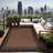 Waikiki Indoor/Outdoor Rug-185931033-185268397