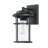 Schlesinger Seeded Glass Outdoor Wall Light-684222840