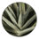 Machine Washable Botanical Brown Area Rug