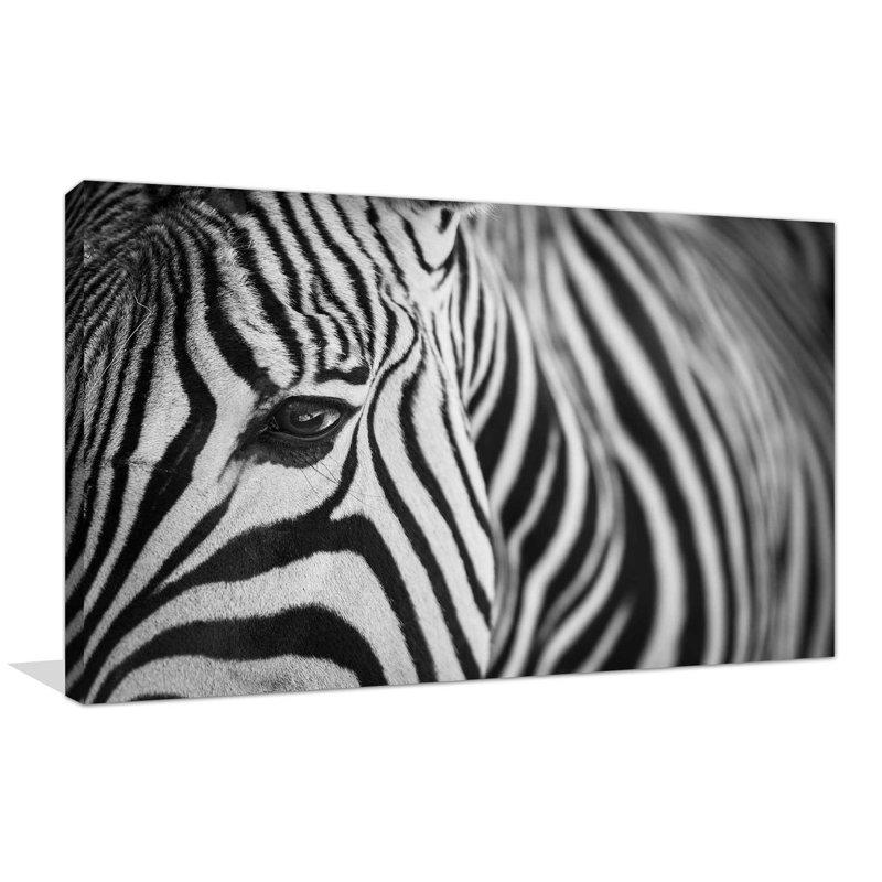 Zèbre en gros plan - reproduction de photo sur toile tendue, H 24 po x l 40 po x P 1,5 po