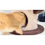 160cm H Cat Tree House