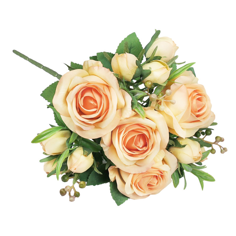 Doux jet de rose délicat, Pêche