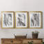 «Abstract Ink Fantasy I», ensemble de 3 cadres photo-803286518-803286523