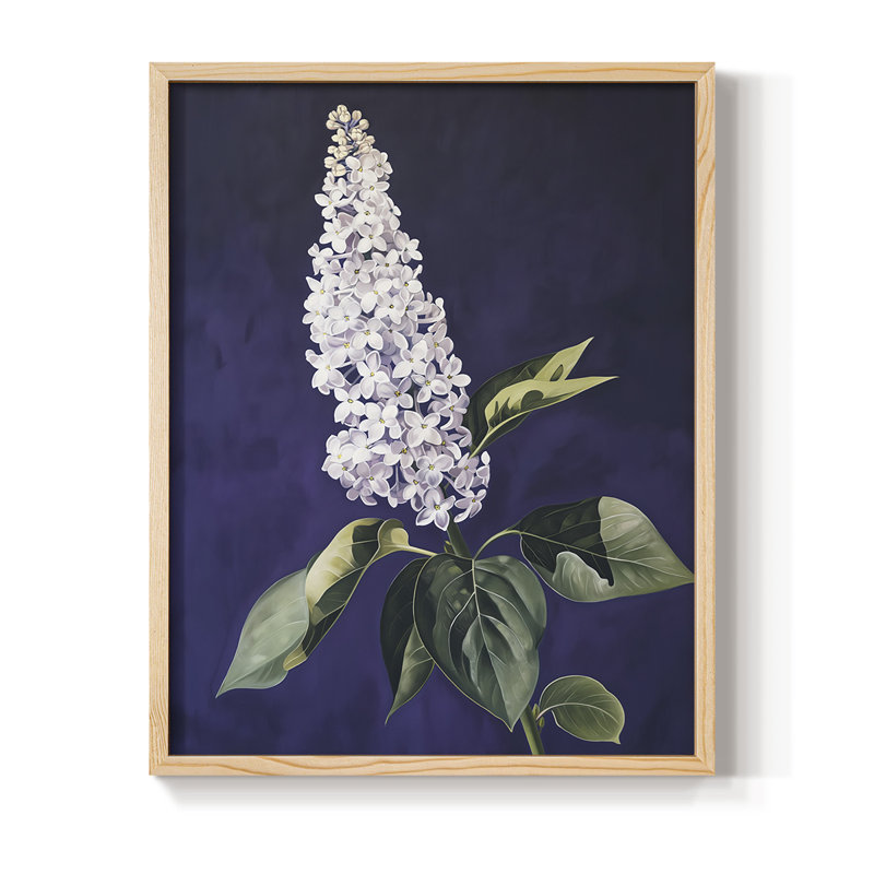 Reproduction encadrée FLORAL Series CCXL III - bois massif, H 11 po x l 9 po