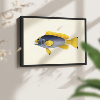 Collection de poissons tropicaux - impression encadrée en V - Restickable