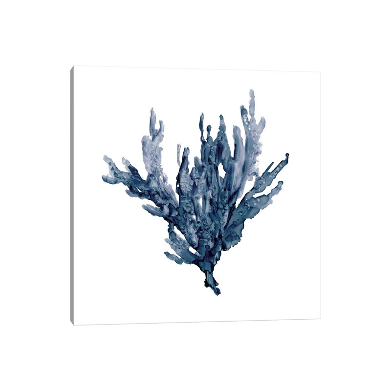 Sea Coral I by Carol Robinson - Wrapped Canvas Print, 93.98 cm H x 93.98 cm W x 1.91 cm D