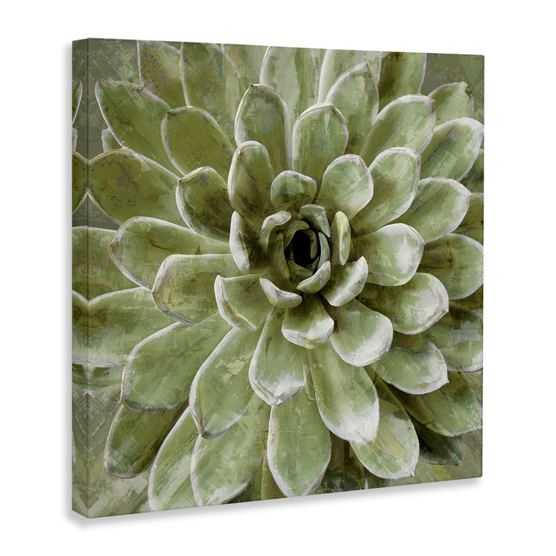 «Painted Botanical Succulent Bloom», impression, H 17 po x l 17 po