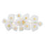 Holmdel 12 Light Semi Flush