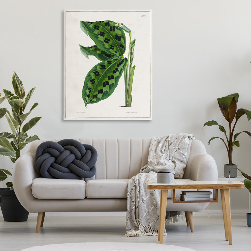 "Lush Plant Leaf Study", art mural par Tina Higgins Designs, Inc., H 48 po x l 36 po