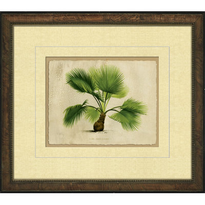 Small Crackled Horizontal Palm IV Painting