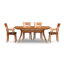 Catalina Trestle Extensions Table-12261743-12456055