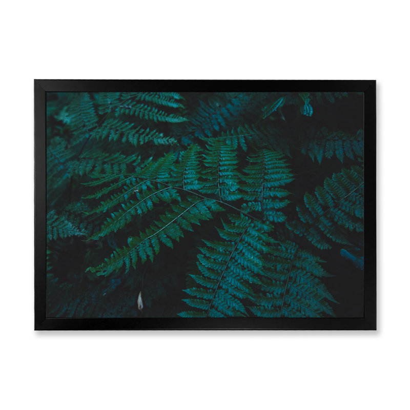 Brownies vert foncé - photographie sur toile, Cadre d'angle fermé noir, H 12 po x l 20 po