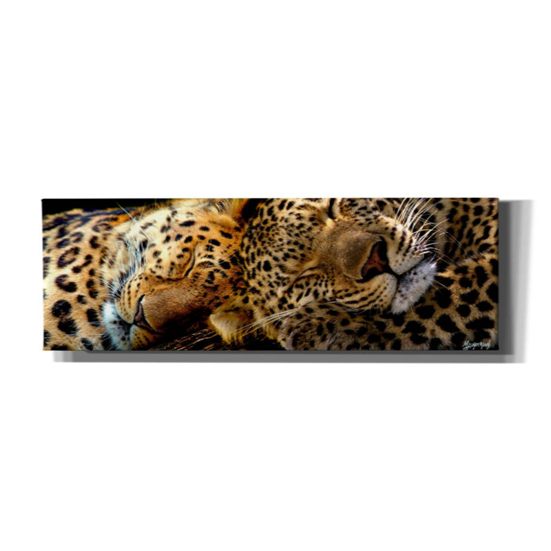 «Latitude Sleep 'Two Sleepers Cheetahs» par Murray Henderson, reproduction d'art sur toile, H 20 po x l 60 po x P 1,5 po