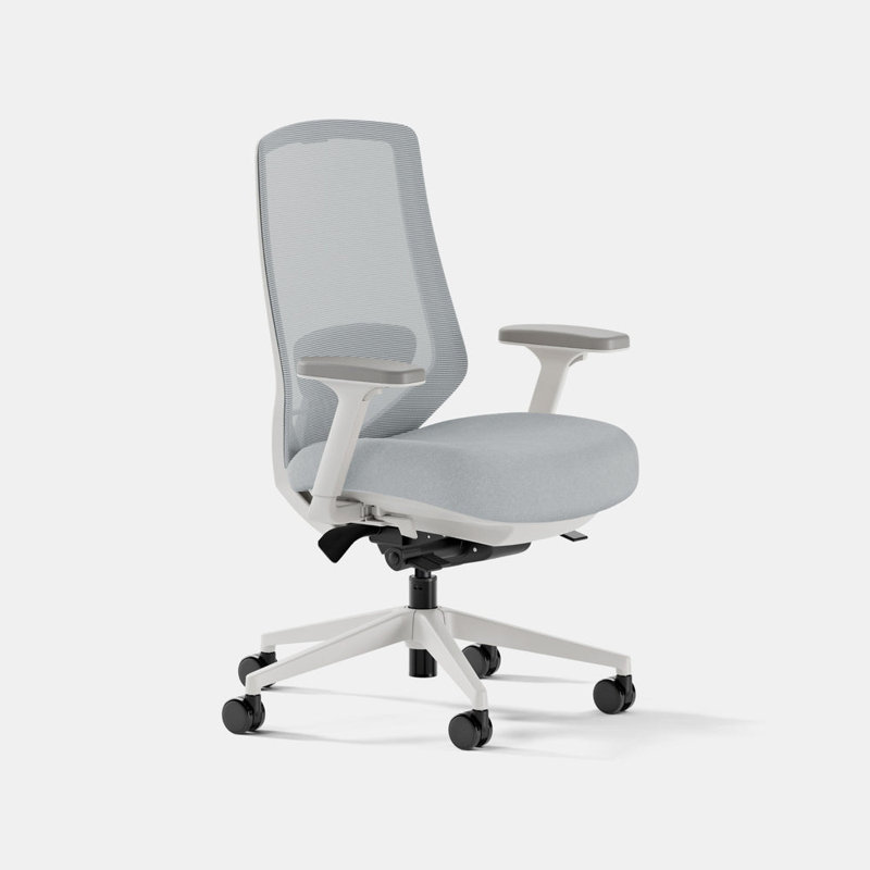 Ergonomic Chair Pro, Mineral, White
