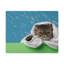Wall Art on Canvas-1247112075