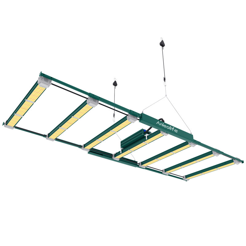 LED Outdoor Security Spotlight