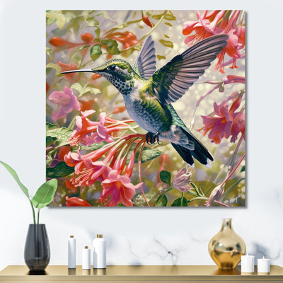 " Graceful Hummingbird II "
