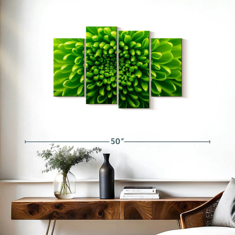 Chrysanthème vert Harnek, H 22 po x l 36 po