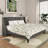 Emonnie Upholstered Platform Wingback Bed with Headboard-255258534-255258535