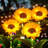 Plastic Low Voltage Solar Powered Integrated LED Pathway Light Pack
